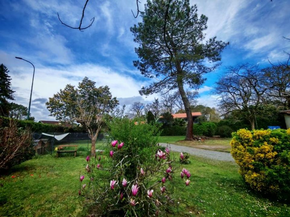 Villa i Saugnac-et-Cambran, Landes - foto 4