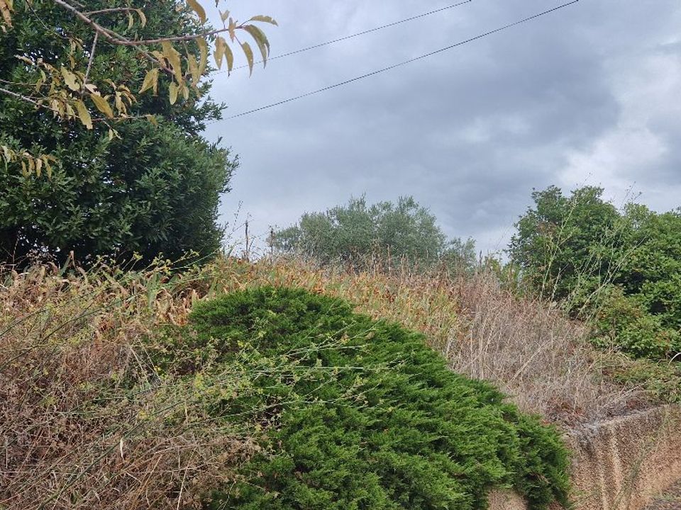 Helårsgrund i Peret, Herault - foto 3