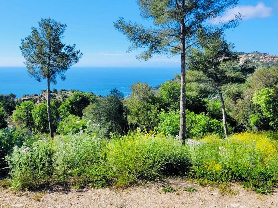Helårsgrund i La Turbie, Alpes-Maritimes - foto 1
