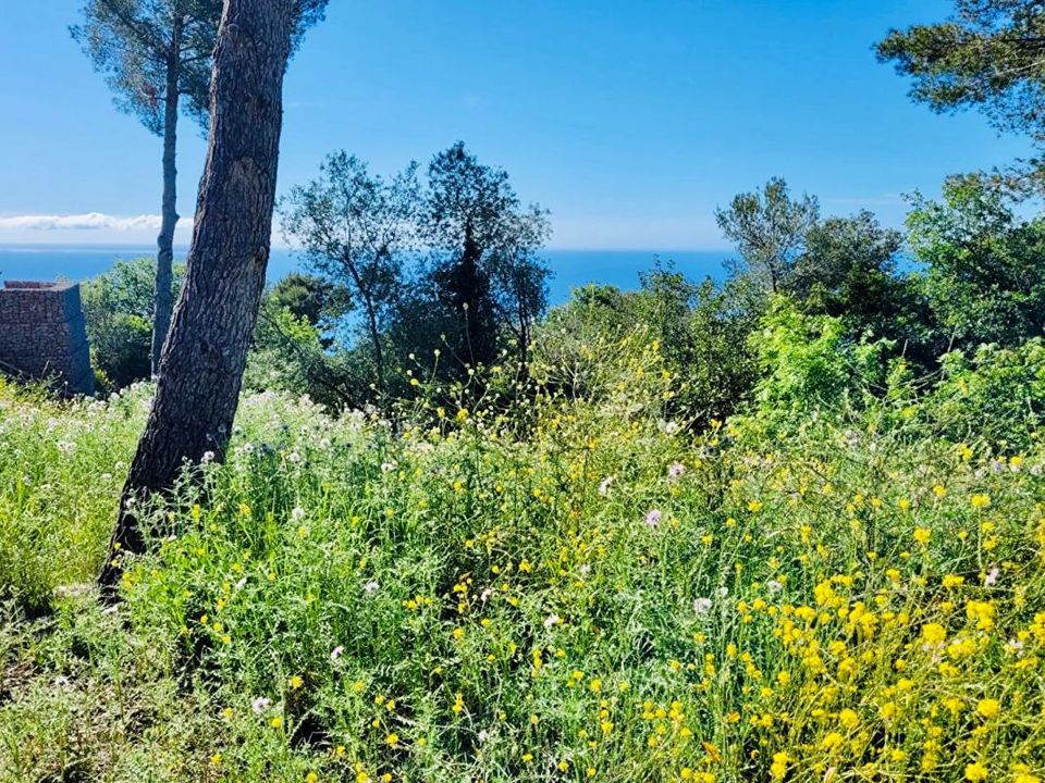 Helårsgrund i La Turbie, Alpes-Maritimes - foto 2