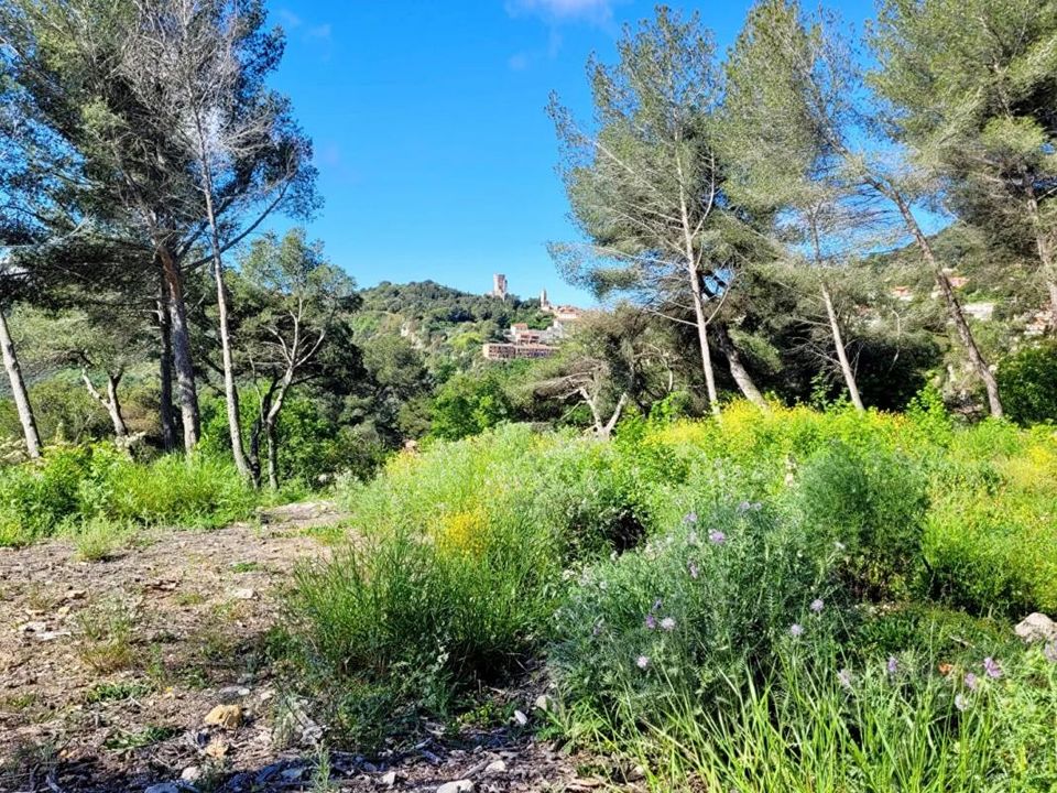 Helårsgrund i La Turbie, Alpes-Maritimes - foto 3