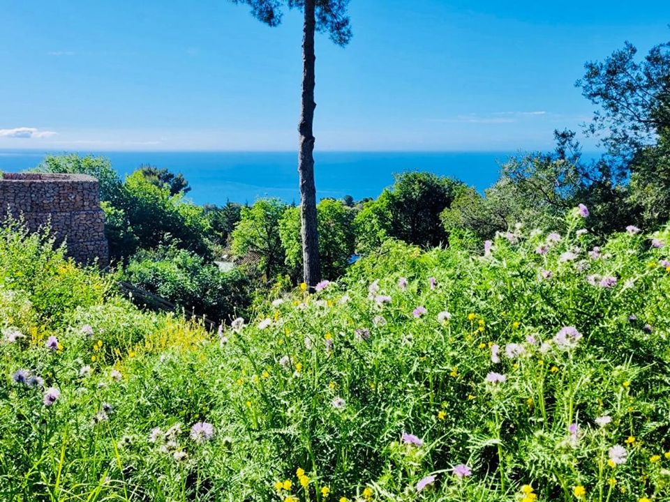 Helårsgrund i La Turbie, Alpes-Maritimes - foto 4