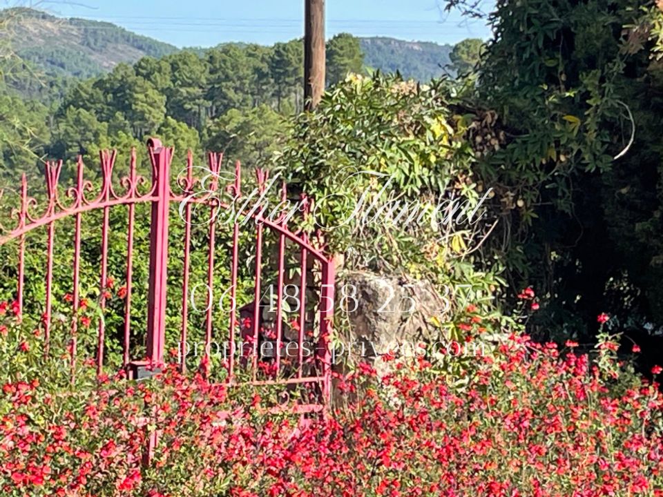 Villa i Anduze, Gard - foto 4