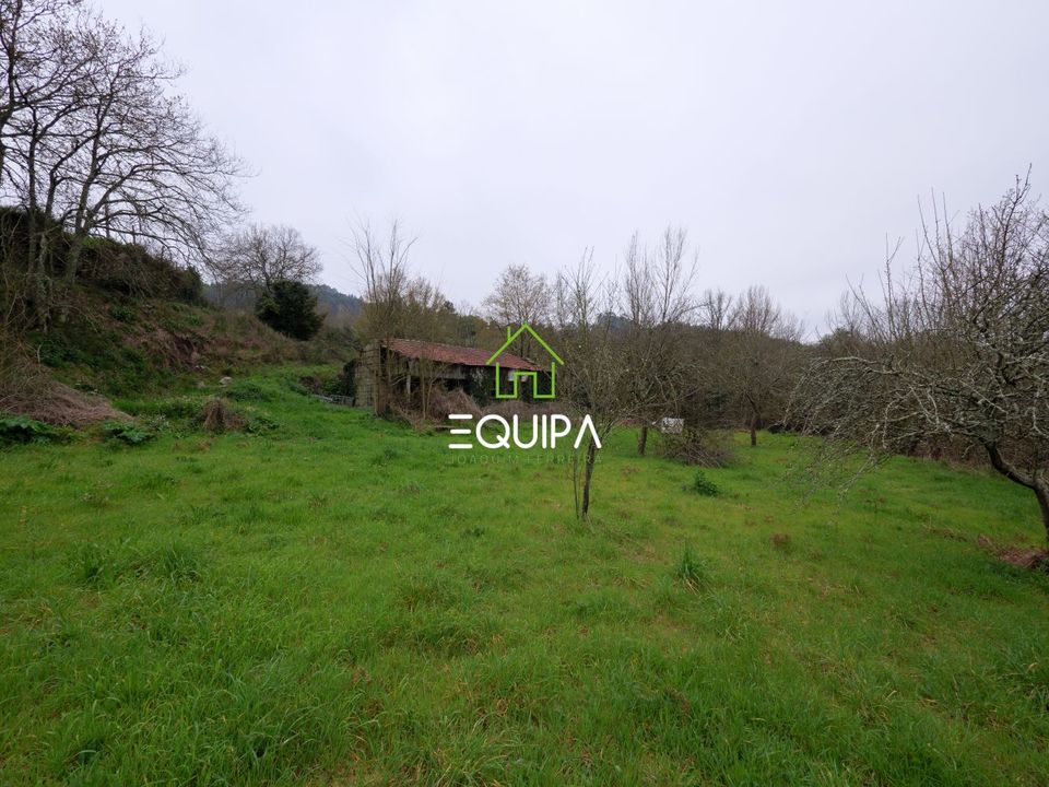 Landejendom i Guimaraes, Braga - foto 5