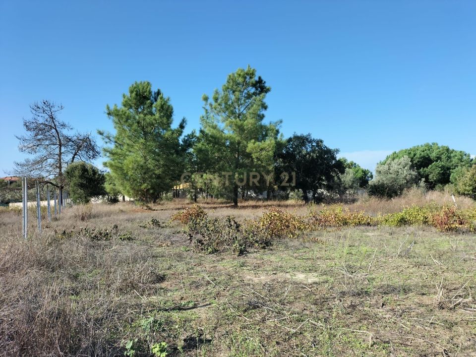 Helårsgrund i Pinhal Novo, Setubal - foto 5