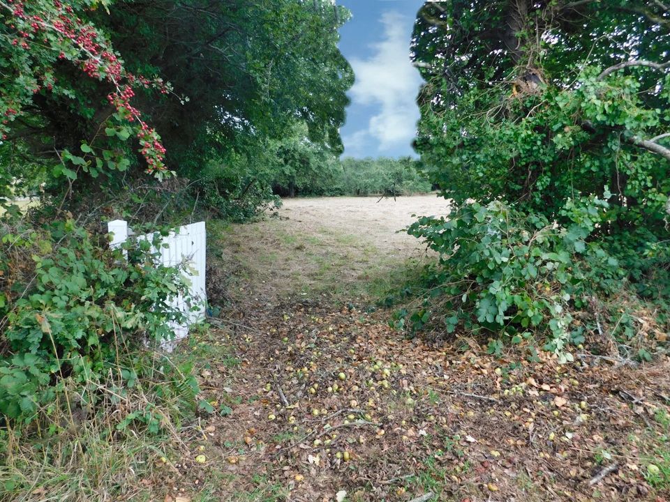 Helårsgrund i Cleden-Poher, Finistere - foto 2