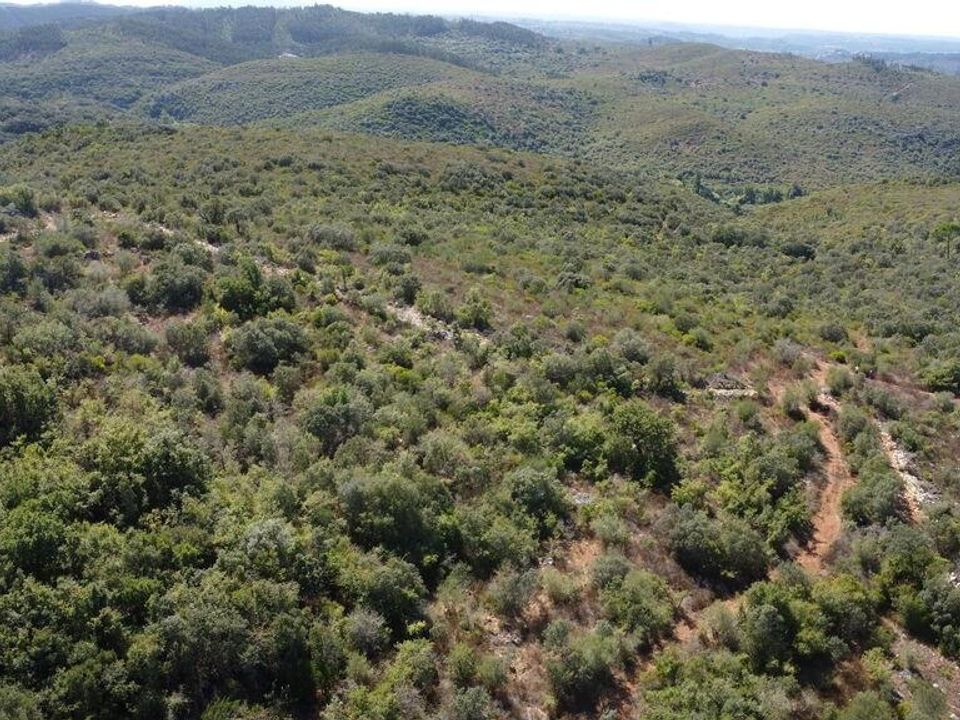 Helårsgrund i Ourem, Santarem - foto 1