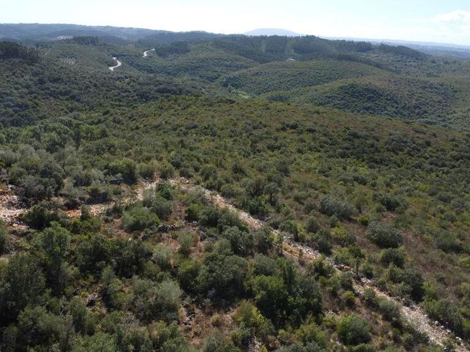 Helårsgrund i Ourem, Santarem - foto 2