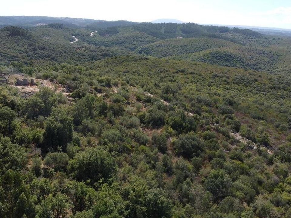 Helårsgrund i Ourem, Santarem - foto 3
