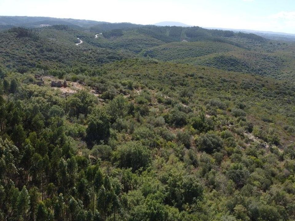 Helårsgrund i Ourem, Santarem - foto 4
