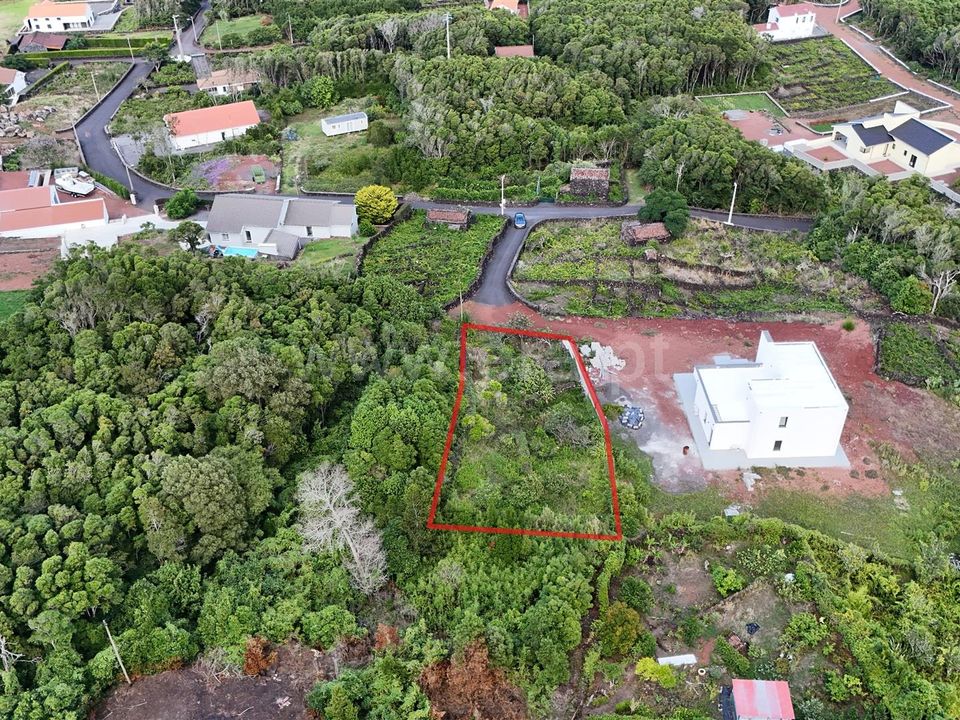 Helårsgrund i Sao Roque do Pico, Pico - foto 3