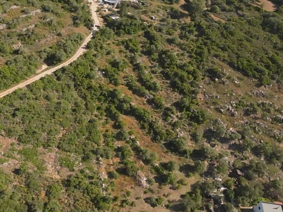 Helårsgrund i Faro, Faro - foto 2