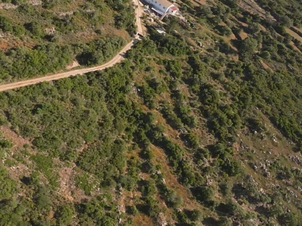 Helårsgrund i Faro, Faro - foto 1