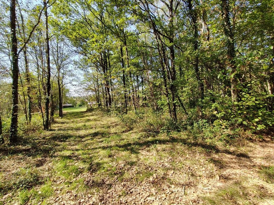 Helårsgrund i Piegut-Pluviers, Dordogne - foto 1
