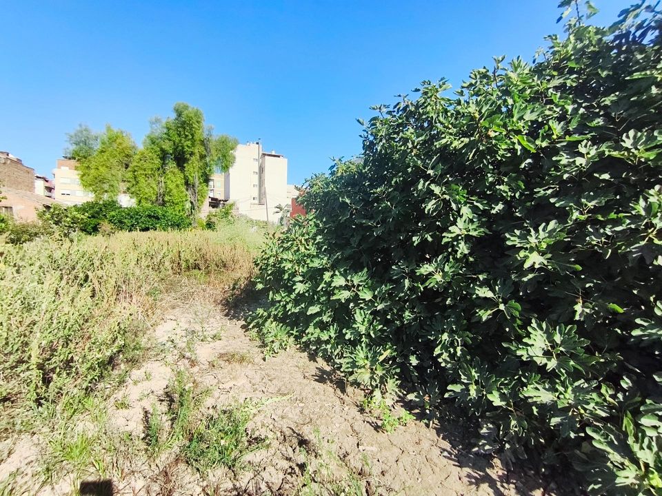 Villa i Murcia, Murcia - foto 5