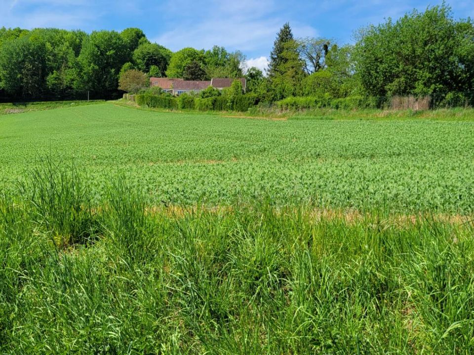 Helårsgrund i Autrêches, Oise - foto 5