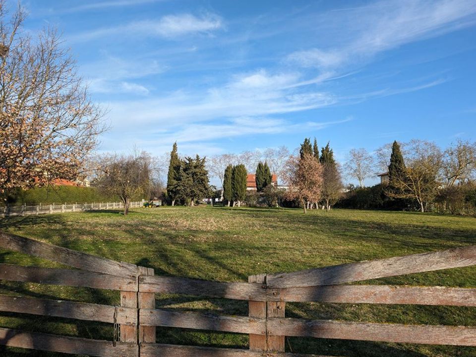 Tomt i Cazeres, Haute-Garonne - bilde 3