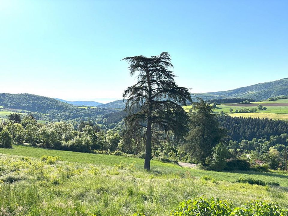 Helårsgrund i Bourg-Argental, Loire - foto 2