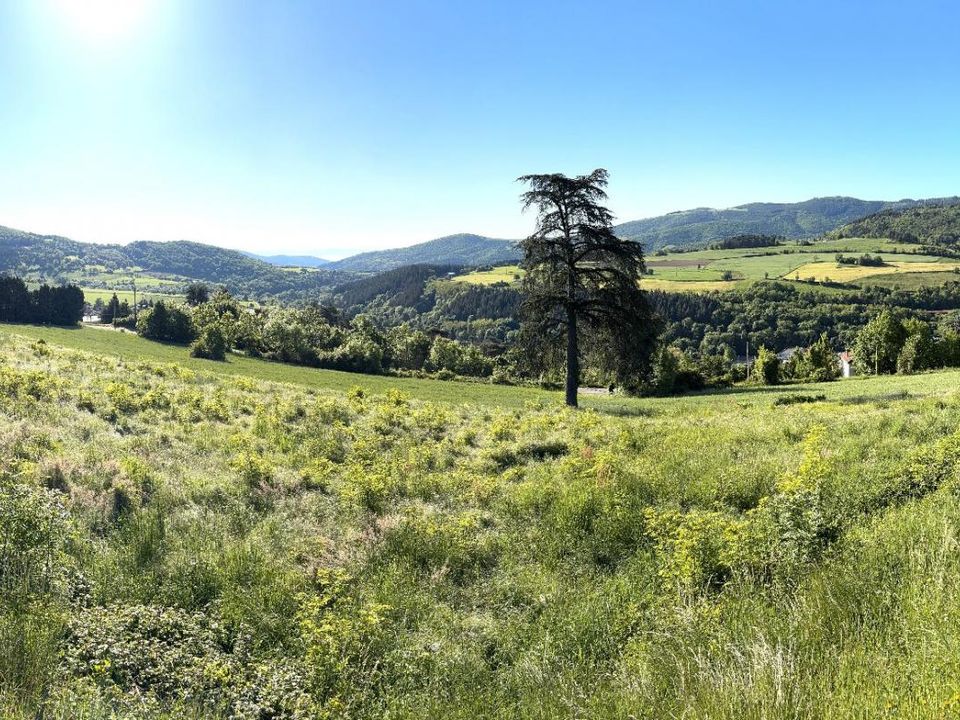 Helårsgrund i Bourg-Argental, Loire - foto 3