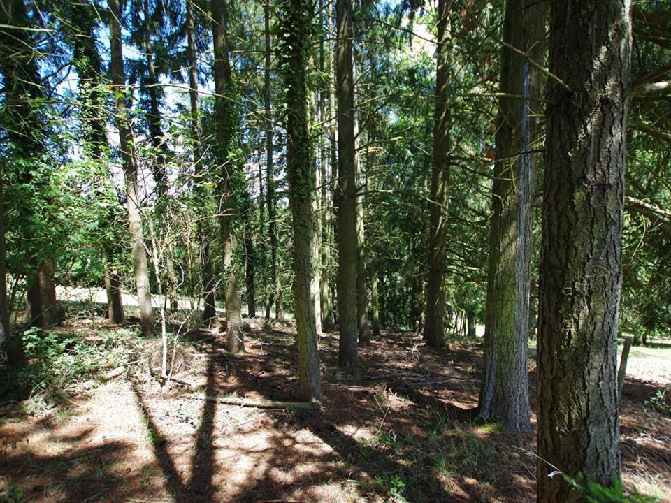 Helårsgrund i Saint-Germain-des-Prés, Loiret - foto 1