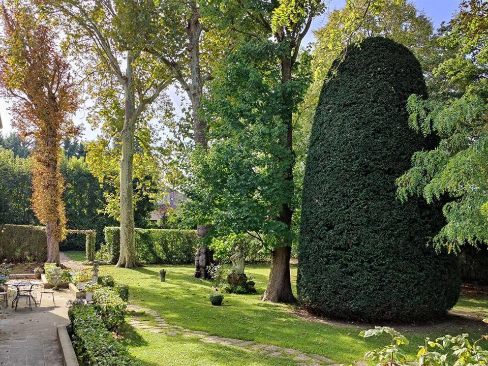 Villa i Neuilly-Plaisance, Seine-Saint-Denis - foto 3