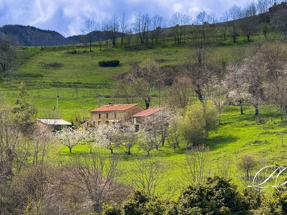 Villa i Amelie-les-Bains-Palalda, Pyrenees-Orientales - foto 5