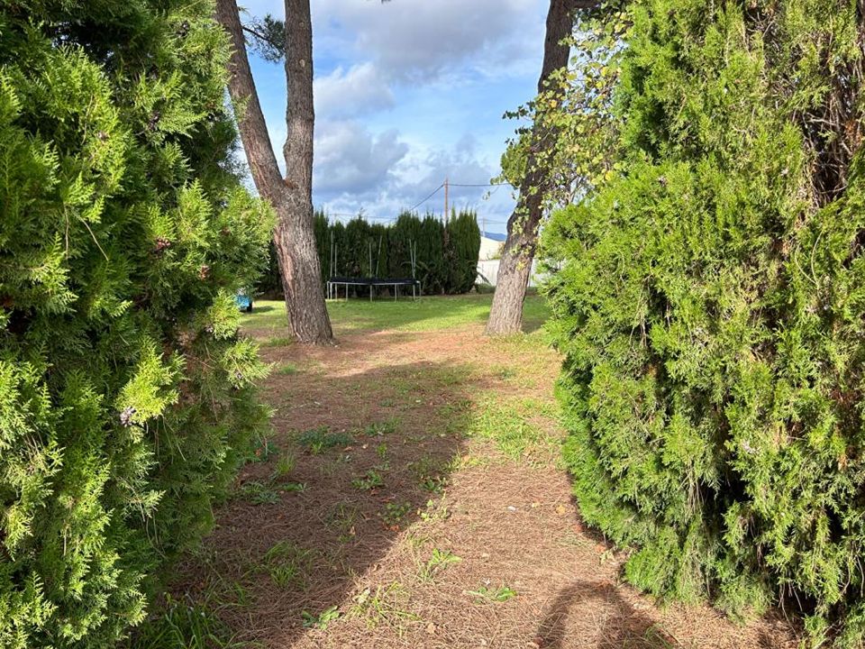 Land in Saint-André-de-Sangonis, Herault - photo 1