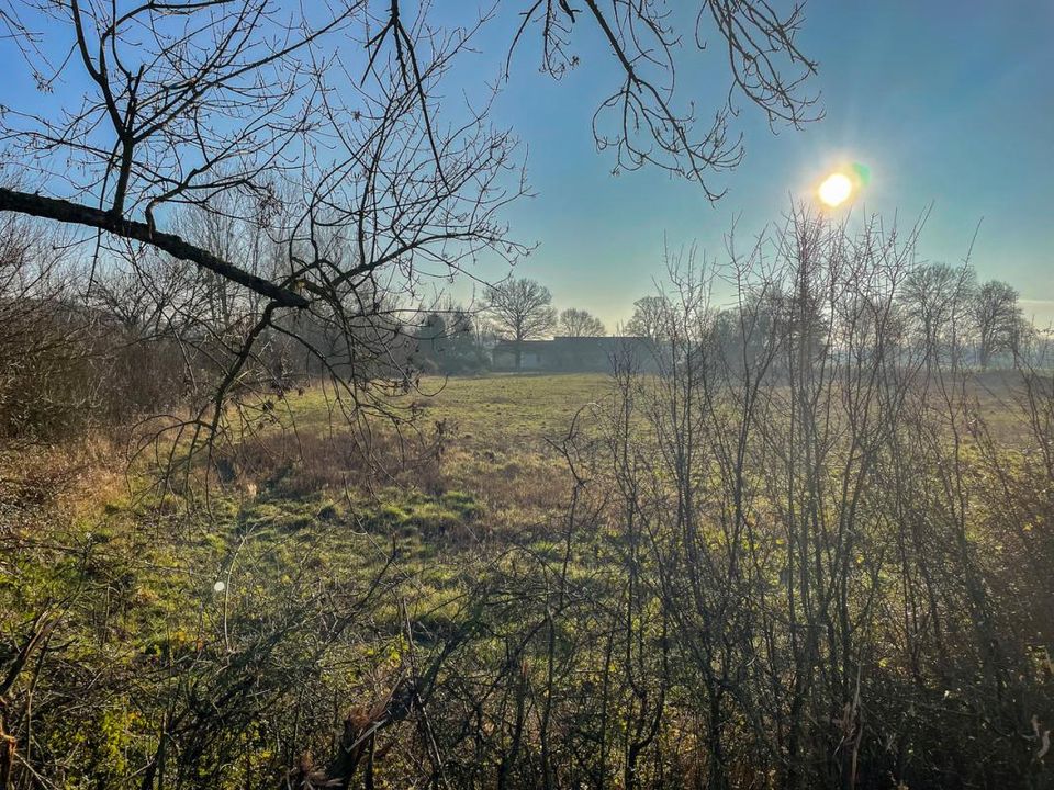 Helårsgrund i Châtres-sur-Cher, Loir-et-Cher - foto 2