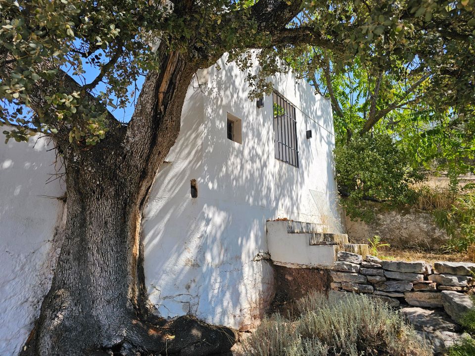 Herregård i Montefrio, Granada - bilde 4