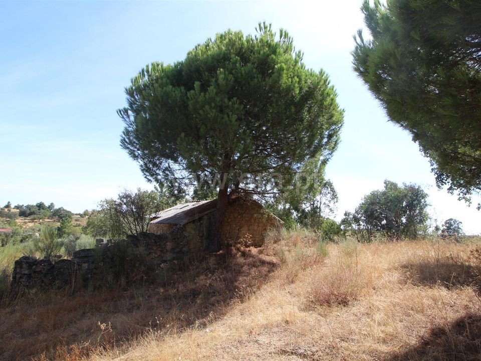 Landejendom i Fundao, Castelo Branco - foto 1