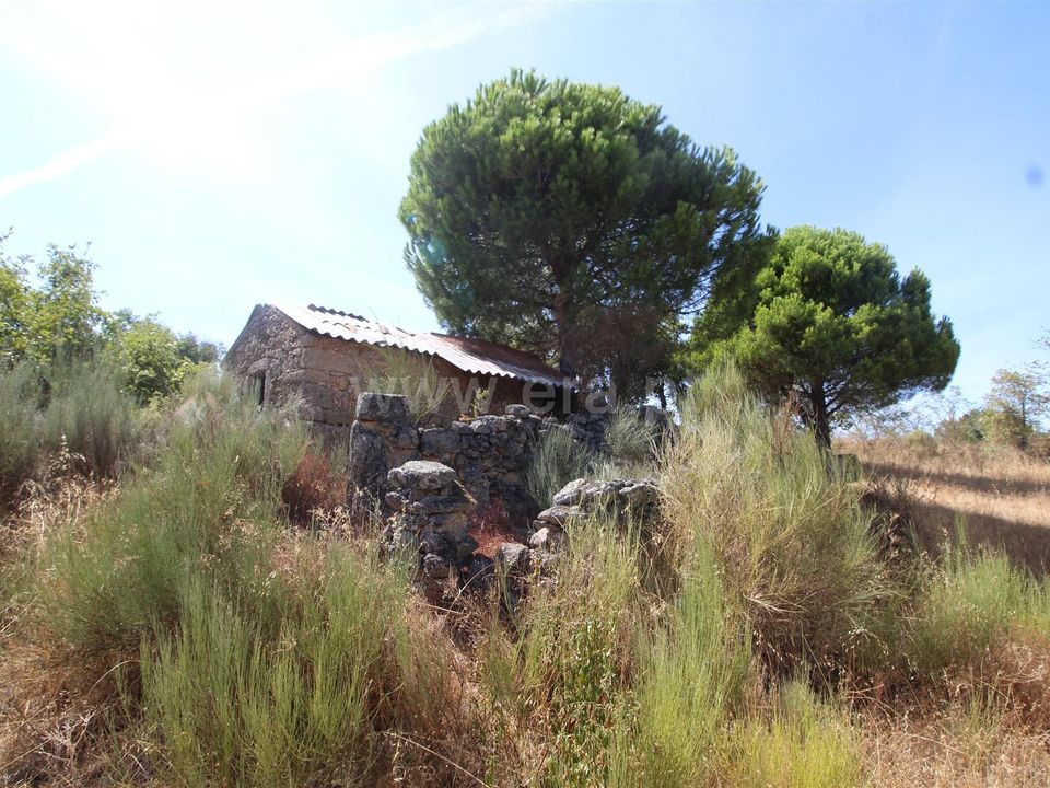 Landejendom i Fundao, Castelo Branco - foto 2