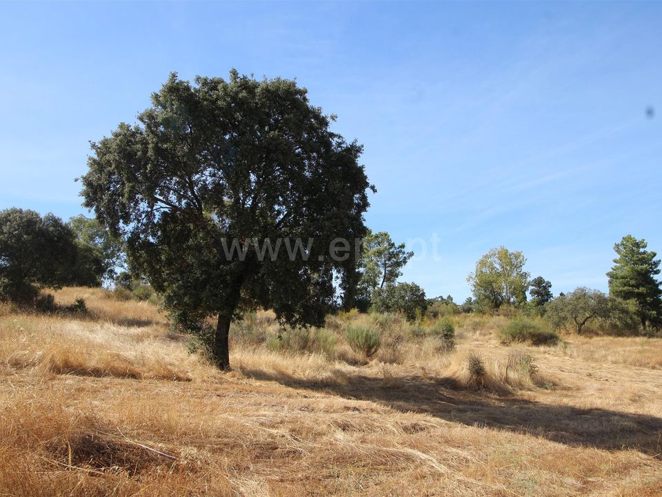 Helårsgrund i Fundao, Castelo Branco - foto 1