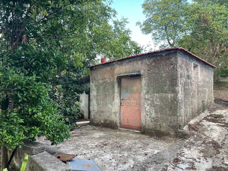 Helårsgrund i Avella, Avellino - foto 5
