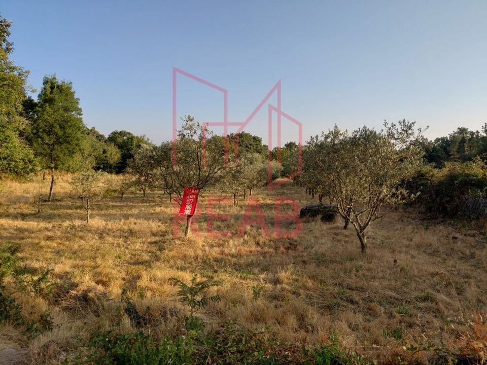 Helårsgrund i Aguiar da Beira, Guarda - foto 1