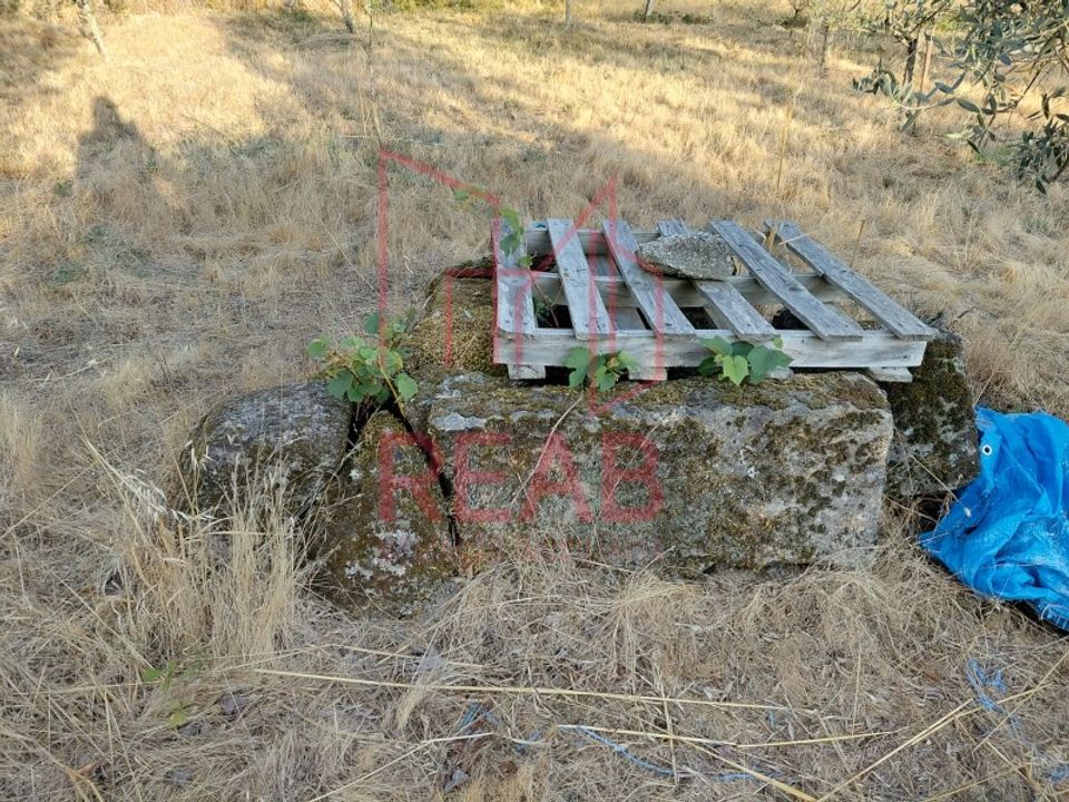 Helårsgrund i Aguiar da Beira, Guarda - foto 2