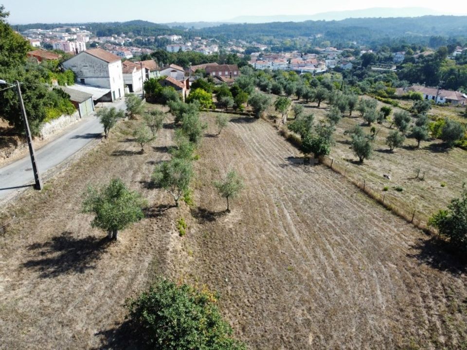 Helårsgrund i Tabua, Coimbra - foto 4