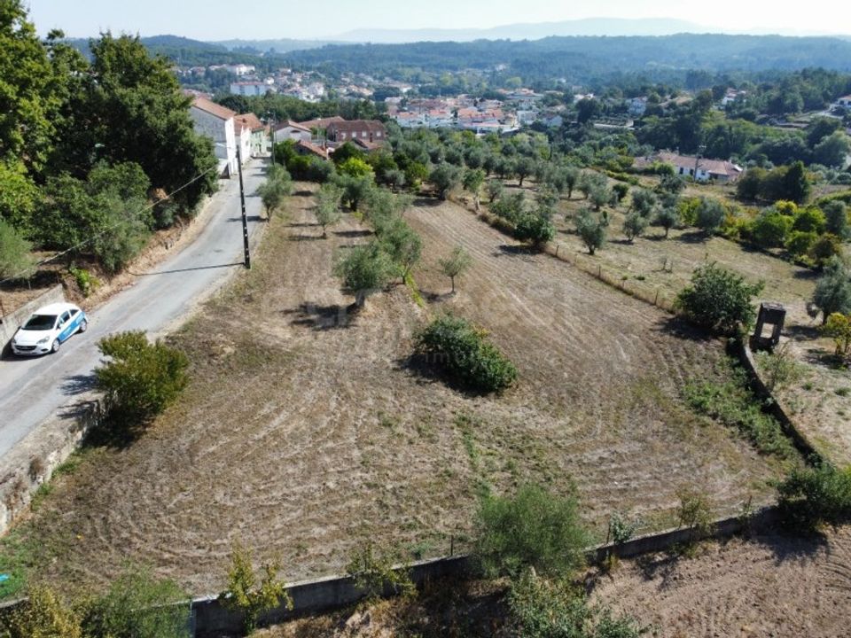 Helårsgrund i Tabua, Coimbra - foto 5