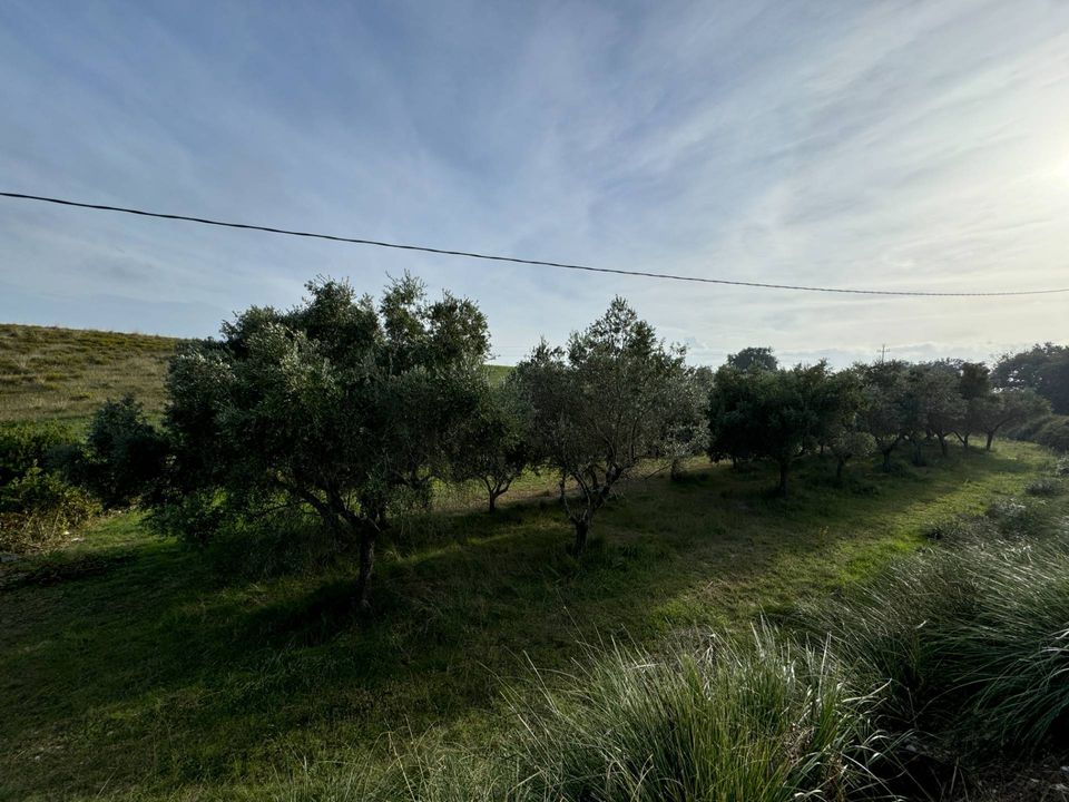 Helårsgrund i Lapedona, Fermo - foto 4