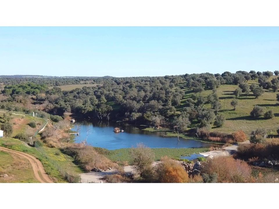 Landejendom i Torrao, Setubal - foto 3