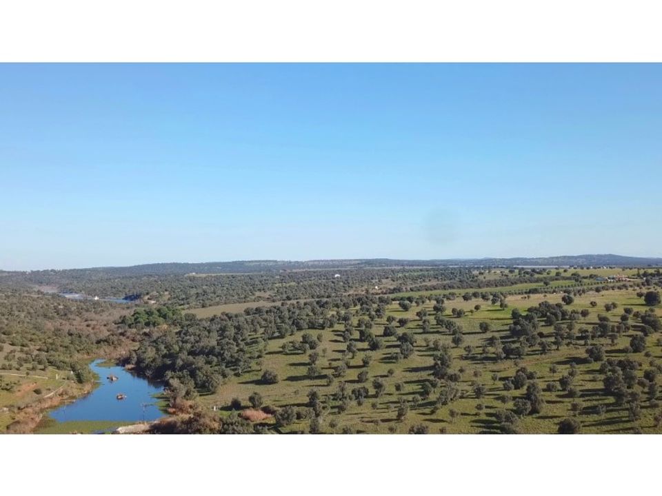 Landejendom i Torrao, Setubal - foto 4