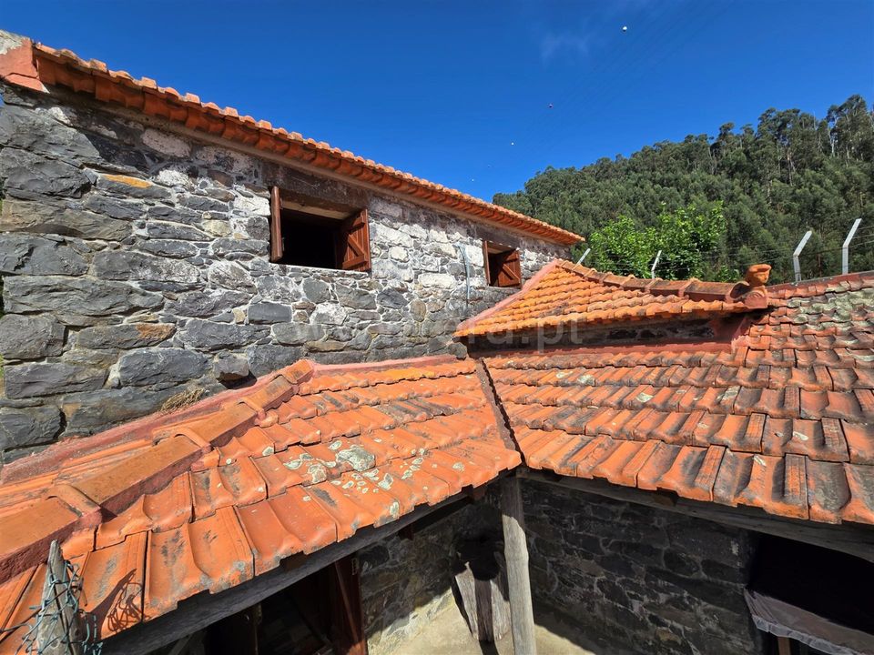 Erhvervsejendom i Calheta, Madeira - foto 3