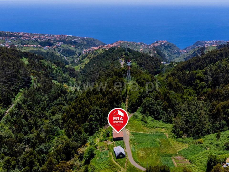 Erhvervsejendom i Calheta, Madeira - foto 4