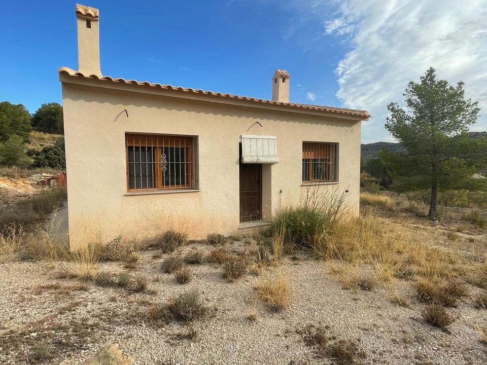 Helårsgrund i Pinoso, Alicante - foto 4