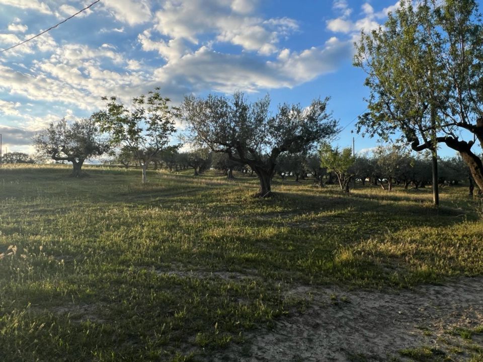 Villa a Pianella, Pescara - foto 3
