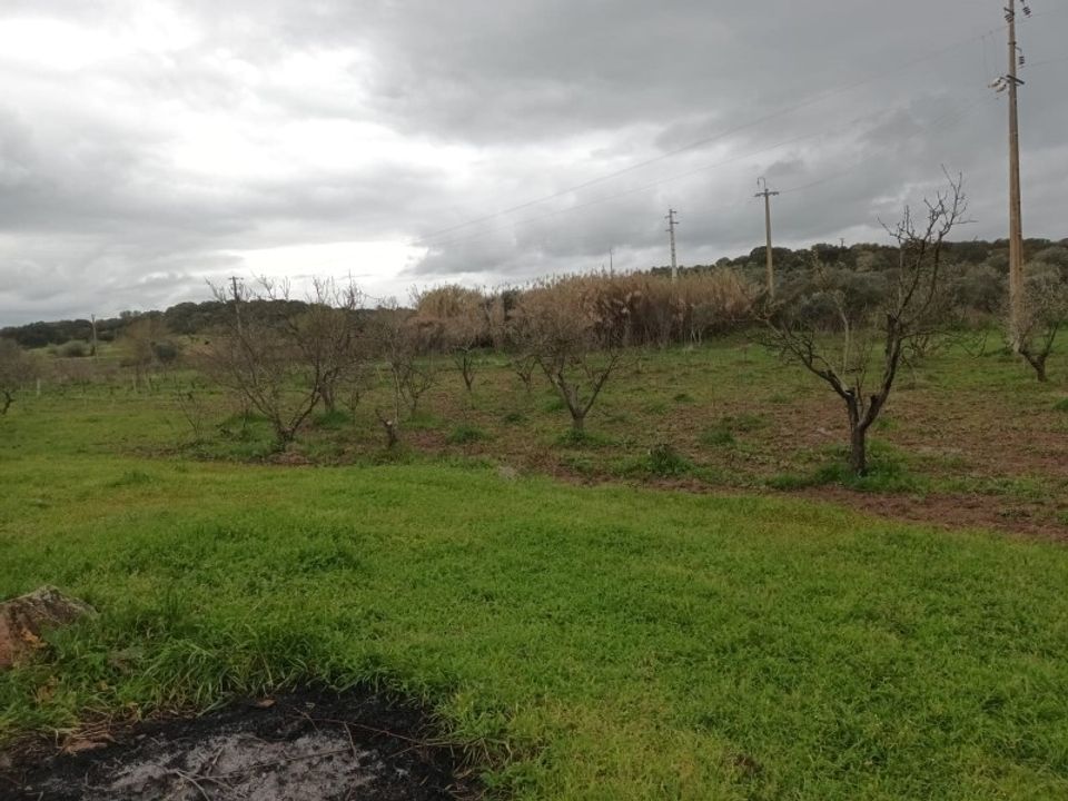 Helårsgrund i Barbacena e Vila Fernando, Portalegre - foto 3