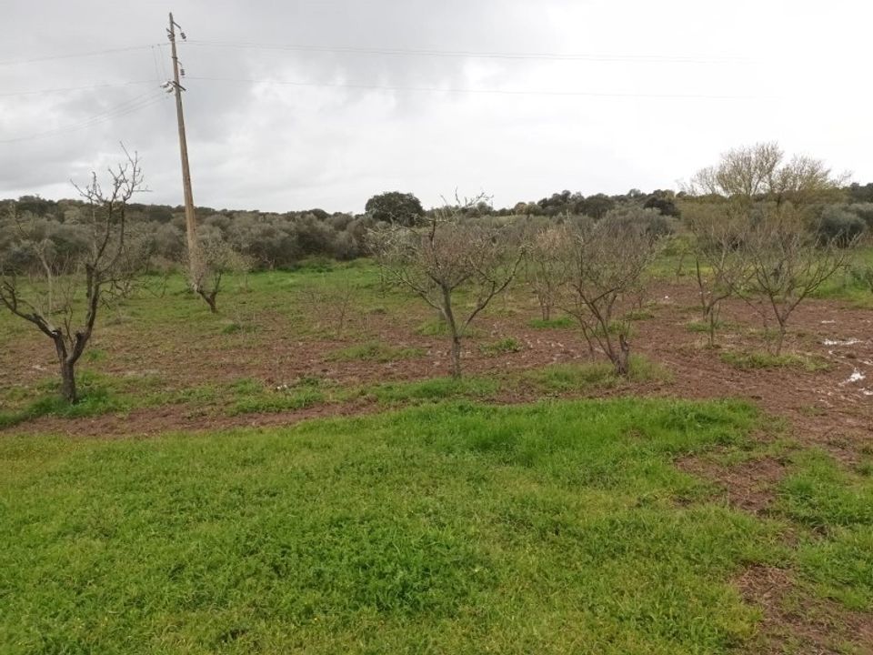 Helårsgrund i Barbacena e Vila Fernando, Portalegre - foto 4