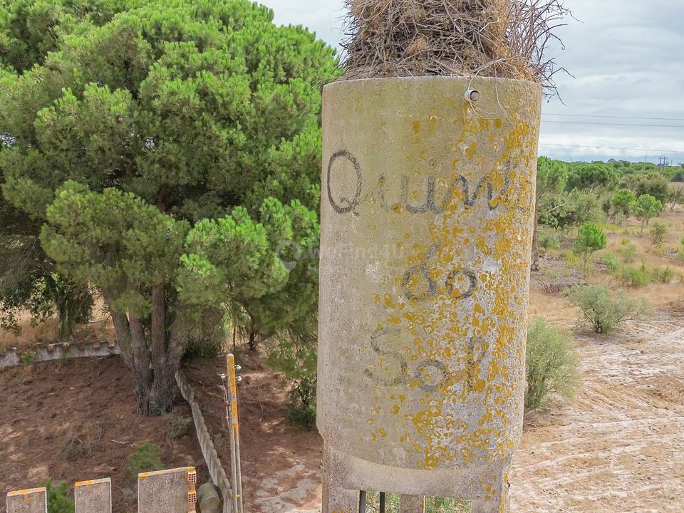 Farm hus i Montijo, Setubal - foto 2