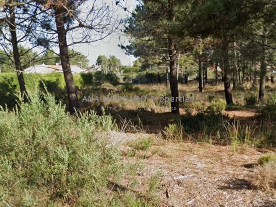 Helårsgrund i Aljezur, Faro - foto 1