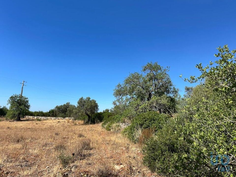 Helårsgrund i Tavira, Faro - foto 5