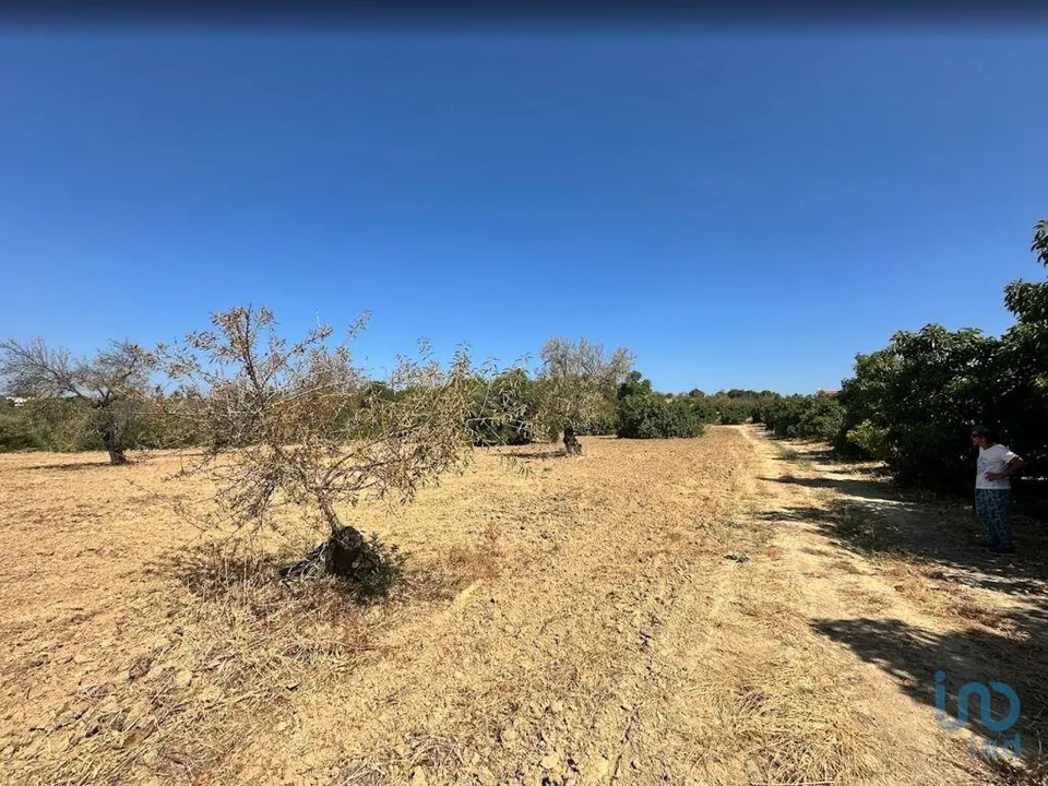Helårsgrund i Tavira, Faro - foto 3